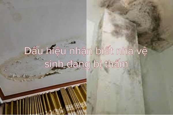 Dấu hiệu nhận biết nhà vệ sinh (tolet) đang bị thấm Dấu hiệu nhận biết nhà vệ sinh (tolet) đang bị thấm