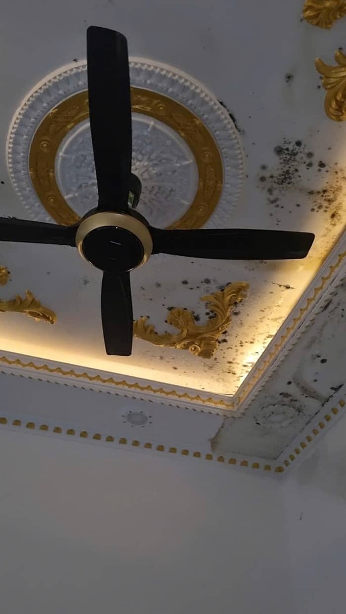 Tác hại nếu nhà vệ sinh bị thấm dột kéo dài Tác hại nếu nhà vệ sinh bị thấm dột kéo dài