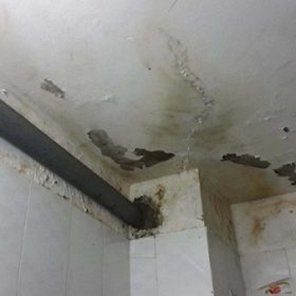 Dấu hiệu nhận biết sàn nhà vệ sinh đang bị thấm dột ngầm Dấu hiệu nhận biết sàn nhà vệ sinh đang bị thấm dột ngầm